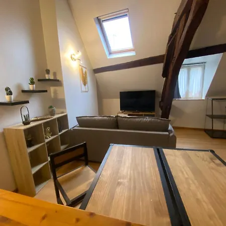 Le Puits Du Bourg Apartment Nevers Exterior photo