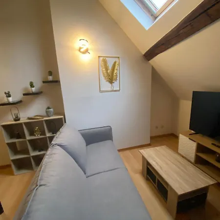 Le Puits Du Bourg Apartment Nevers Exterior photo