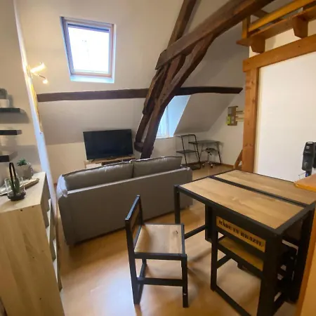 Le Puits Du Bourg Apartment Nevers Exterior photo