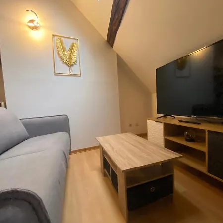 Le Puits Du Bourg Apartment Nevers Exterior photo