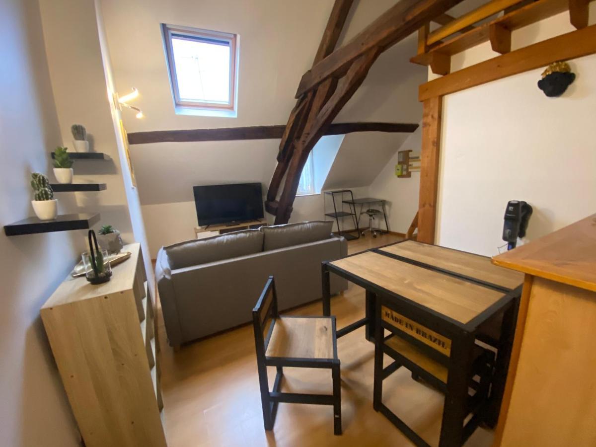 Le Puits Du Bourg Apartment Nevers