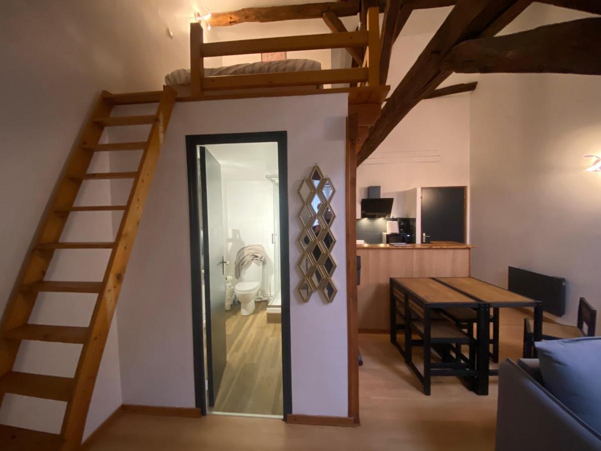 Le Puits Du Bourg Apartment Nevers